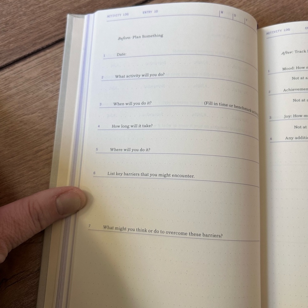 The Depression Guidebook - Picture 5 of 10